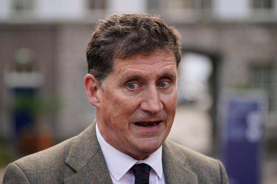 Eamon Ryan said the scheme was designed to be not only low-cost but low on paperwork too. Photo: PA